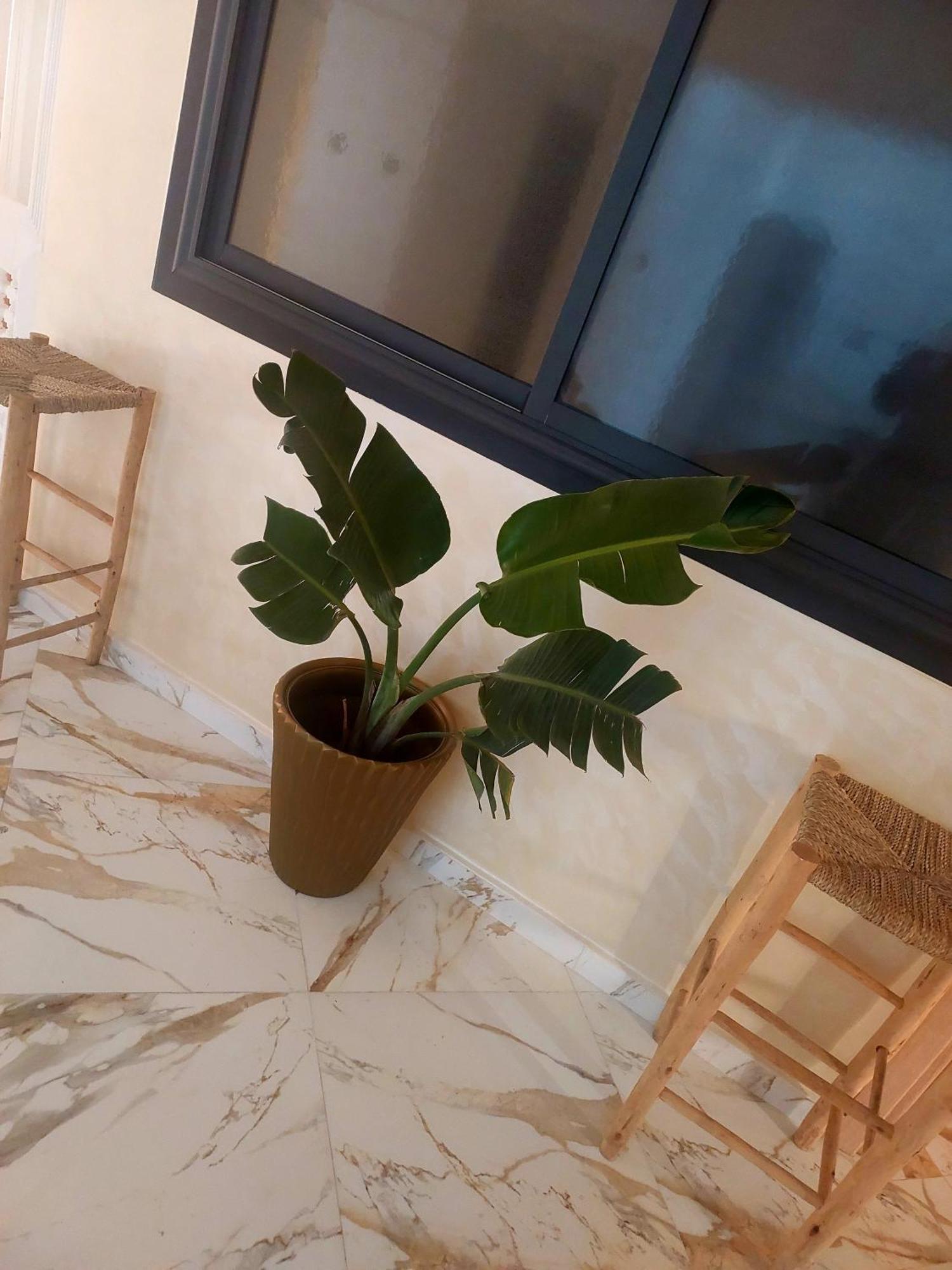 Mogador Appartements T6 Essaouira Exterior photo